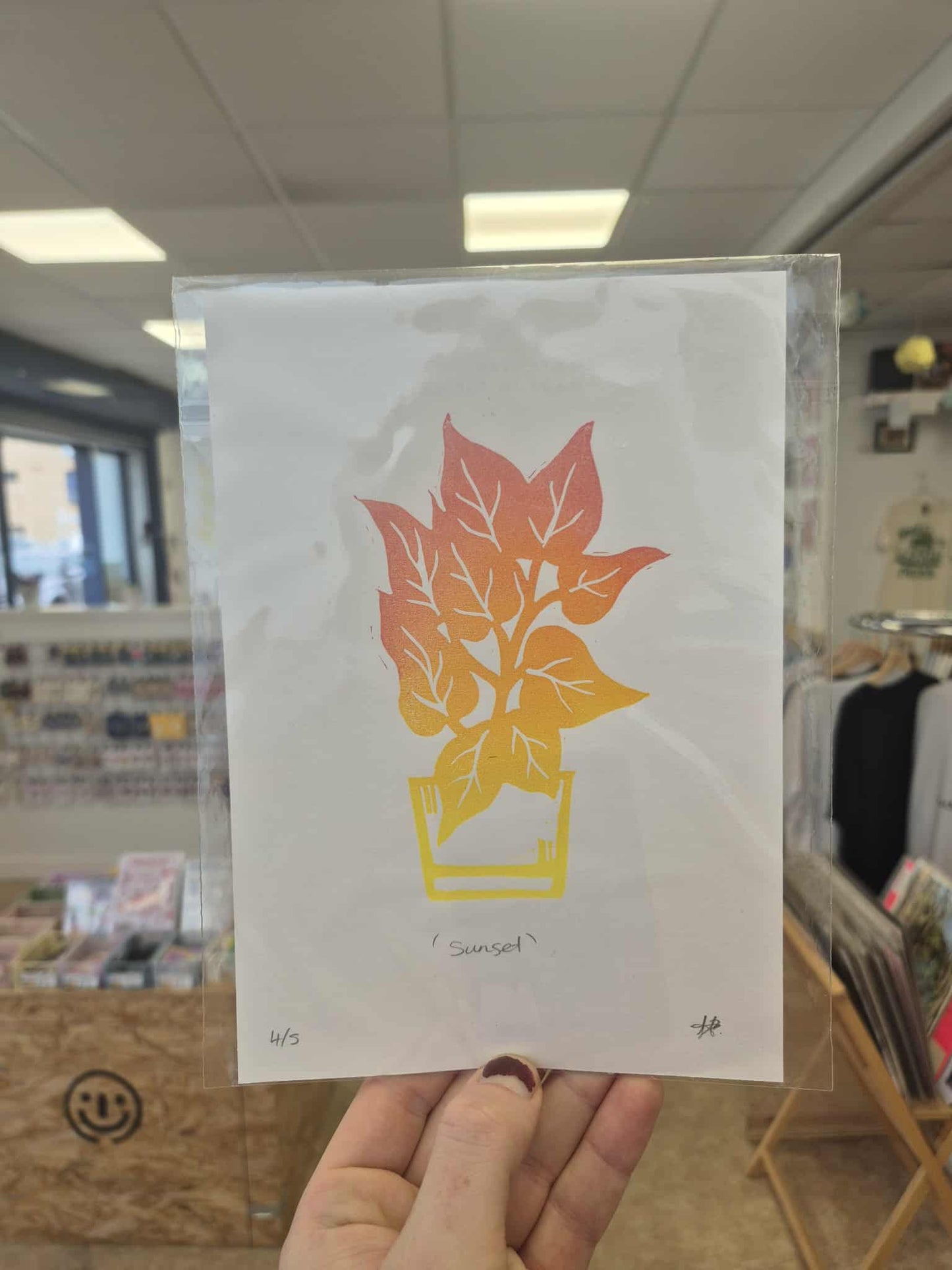 Hannah Durham Illustration- Devil's Ivy